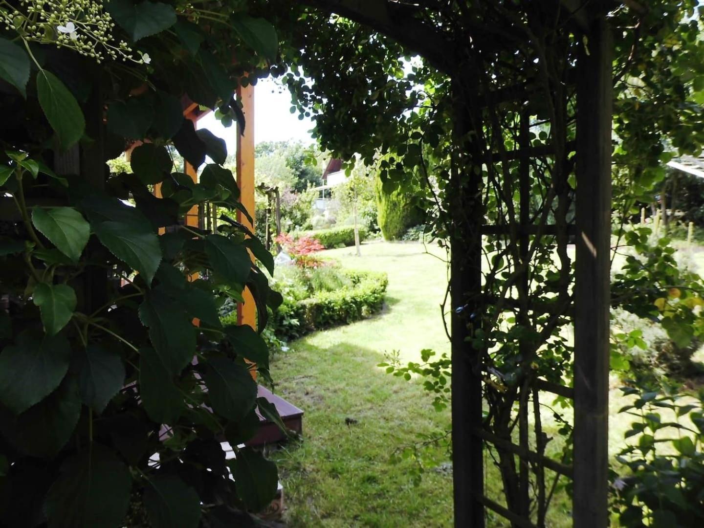 Farbenfrohe Ferienwohnung Detmold Exterior foto